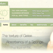 Kumiko Sponge Website