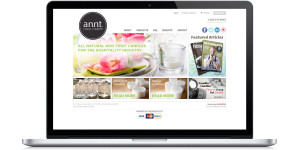 website design ecommerce company