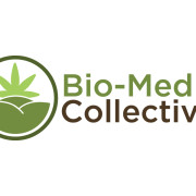 biomed Logo Design Graphic Design Branding